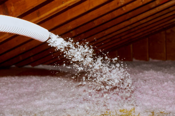 Best Insulation for New Construction  in Trappe, PA
