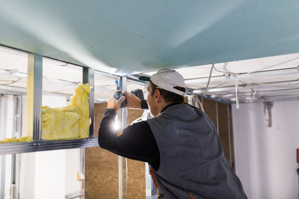 Best Insulation Replacement Services  in Trappe, PA