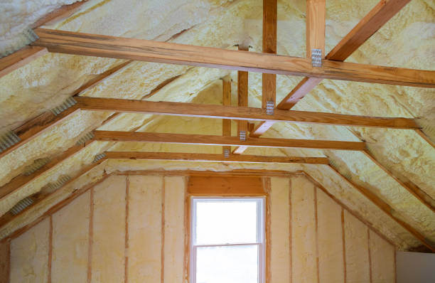 Best Blown-in Insulation  in Trappe, PA