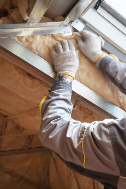 Best Affordable Insulation Services  in Trappe, PA