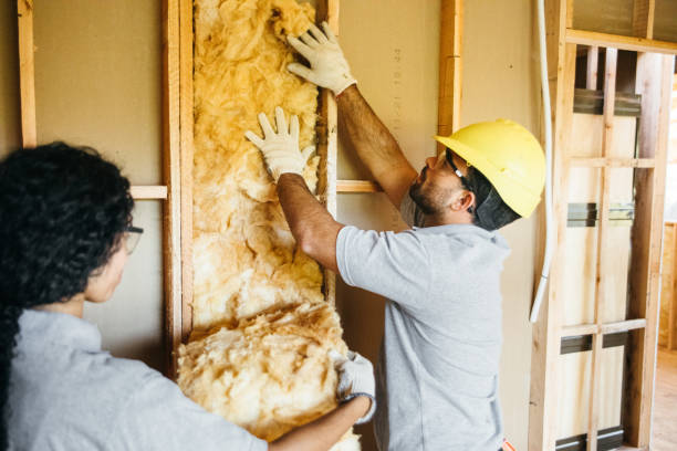 Best Attic Insulation Installation  in Trappe, PA