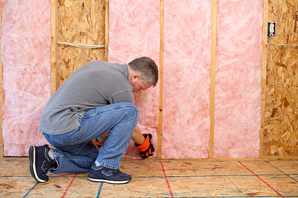 Best Wall Insulation Contractor  in Trappe, PA
