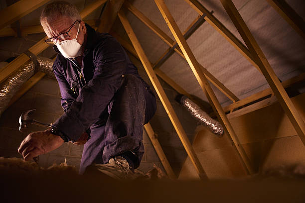 Best Attic Insulation Installation  in Trappe, PA